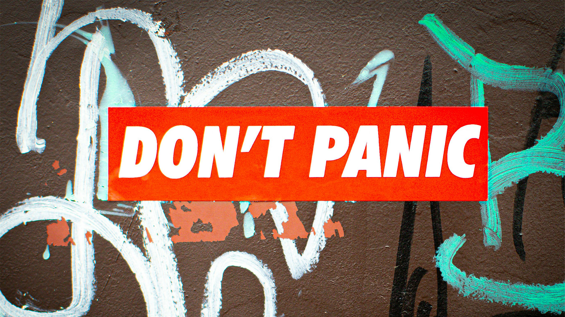 Don&rsquo;t panic! (An empty toilet roll) (Source: Unsplash/jasmin_sessler)