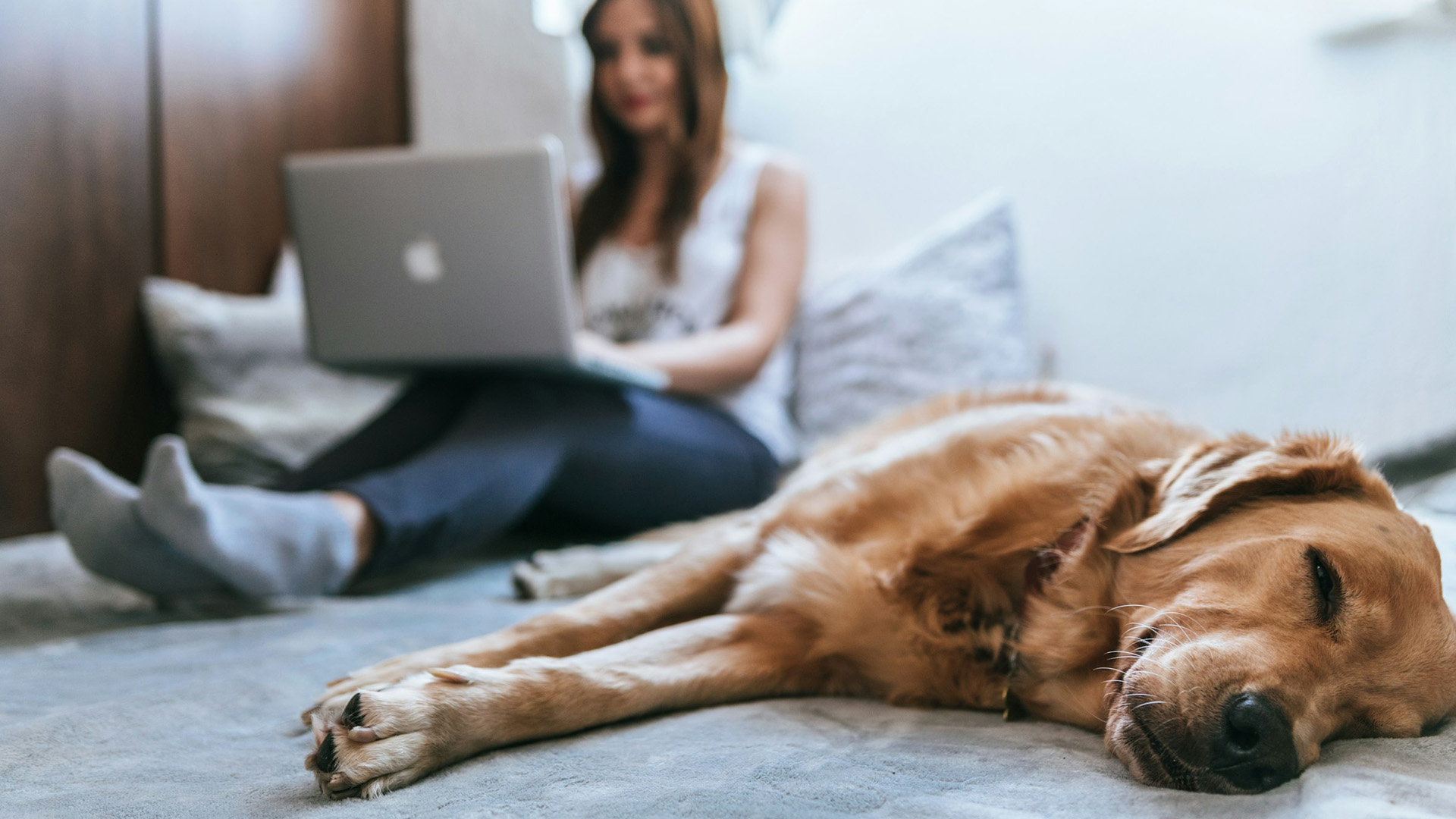 Remote worker with dog